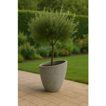 Donica betonowa cylindryczna MILANO – 60 cm wys. x 55 cm Ø | Nowoczesna donica ogrodowa