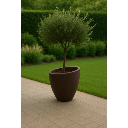 Doniczka betonowa cylindryczna MILANO – 60 cm wys. x 55 cm Ø | Nowoczesna donica ogrodowa