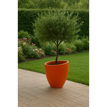 Doniczka betonowa cylindryczna MILANO – 60 cm wys. x 55 cm Ø | Nowoczesna donica ogrodowa