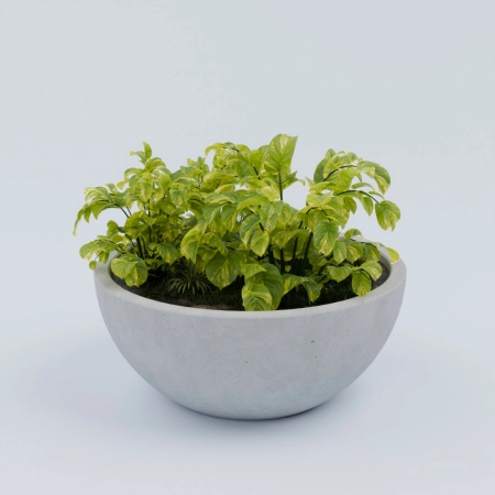 Donica betonowa VIENNA M Ø450 × 892 mm – Talerz Betonowy